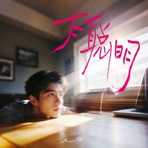 太聪明(只是怕亲手将我的真心葬送)