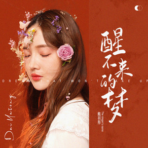 醒不来的梦 (抒情版伴奏)