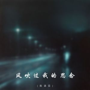 风吹过我的思念