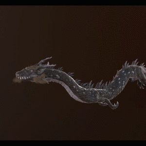 '九寨Dragon' - 中国风