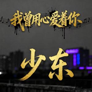 我曾用心爱着你（DJ京仔版）