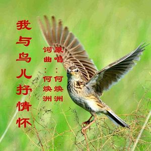 我与鸟儿抒情怀（何焕洲原唱）