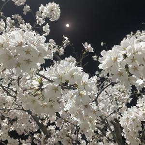 我总是不懂你的意思（Drunk Talk）