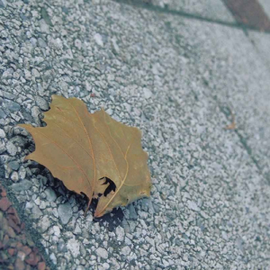 深く、溺れて (feat. 可不)