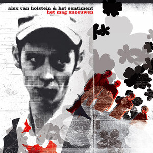 De kater (bonustrack) (Original version)