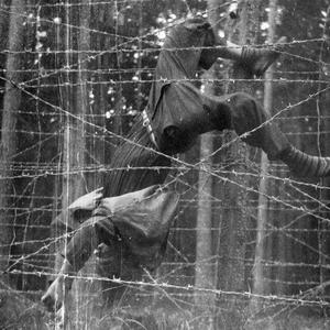 Driving Cars Off Cliffs