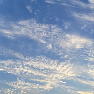 An Irreplaceable Area