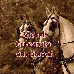 Cu căruță am plecat
