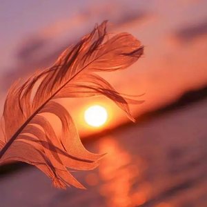 非主恋（翻自 熊果果）