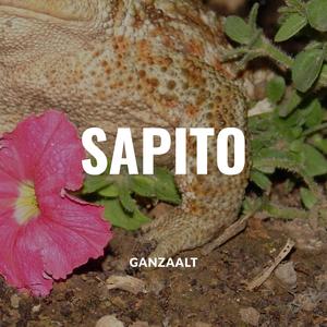 sapito