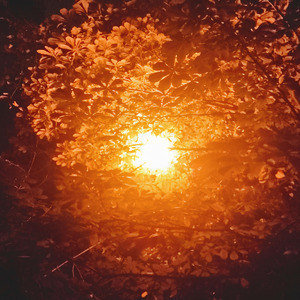 Трудности перевода