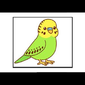 Parakeet