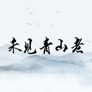 未见青山老