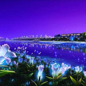 独自在夜晚的海边