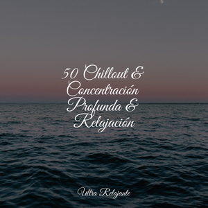 Himnos De La Pasión Por Los Viajes