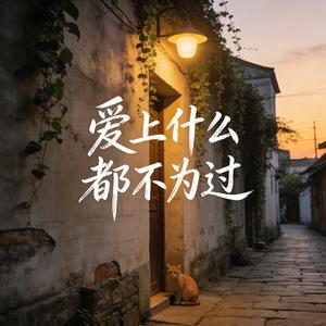 爱上什么都不为过