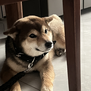 “我不是忘不掉你”