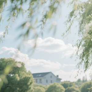 风声细语随心曲