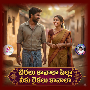 Cheeralu Kavala Pilla Neku Raikalu Kavala