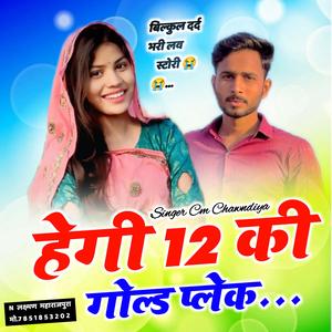 हेगी 12 की गोल्ड प्लेक Laxman Maharajpura