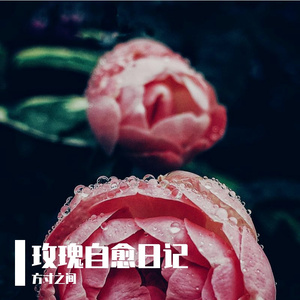 玫瑰自愈日记.mp3