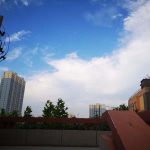 你离开了屋顶，从此再也没有人写我的名字