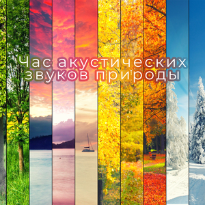 Калифорнийский пляж