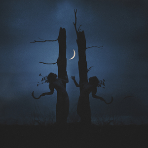 Witch