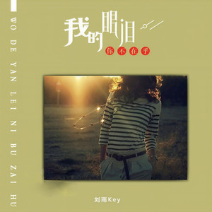我的眼泪你已不在乎 (伴奏)
