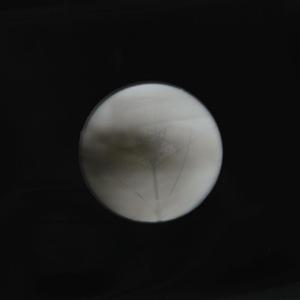 你与月老 伴奏
