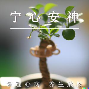 宁心安神（舒缓纯音乐）