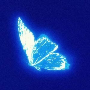 紫色韵味(club爵士爱)