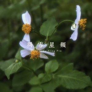 时序沉落