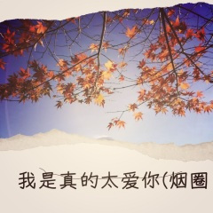 我是真的太爱你 (烟圈版)