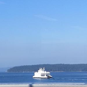 披星戴月的想你