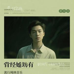 曾经拥有 (流行纯音乐)