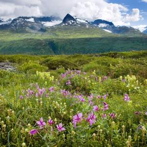 谢谢你的爱1653192419619