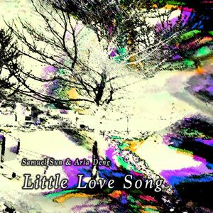 Little Love Song