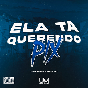 Ela Ta Querendo Pix
