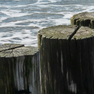 Yasa Rogue Planet (No Home, No Sun)