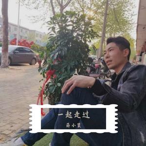 不变的容颜 - 薛贤