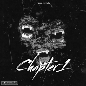 Chapter 1