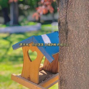 天堂岛乐园（cover徐良）