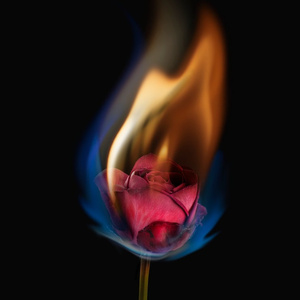 Burned with love