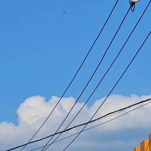 因为你,我热爱每个平凡星期一