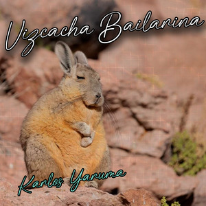 Vizcacha Bailarina