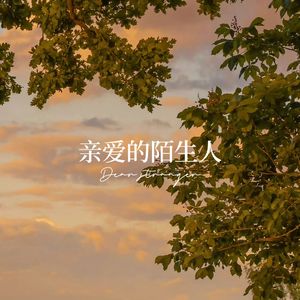 亲爱的陌生人（男女合唱版）