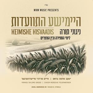 Torah Hakedosha (feat. Chaim Mordche Feuerwerger) (Acapella)