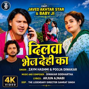 Dilwa bhej dihi ka Zaym hashmi pooja siddharth