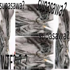 SUPASAWA (黑杰克）